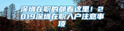 深圳在职的都看这里！2019深圳在职入户注意事项