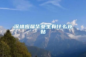 深圳应届毕业生有什么补贴