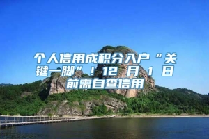 个人信用成积分入户“关键一脚”！12 月 1 日前需自查信用