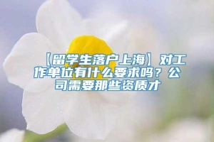 【留学生落户上海】对工作单位有什么要求吗？公司需要那些资质才