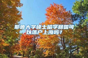 耶鲁大学硕士留学回国可以落户上海吗？