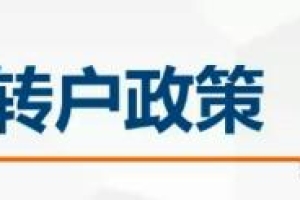 「上海户口」2023年更加快速居转户落户