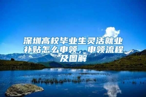 深圳高校毕业生灵活就业补贴怎么申领，申领流程及图解