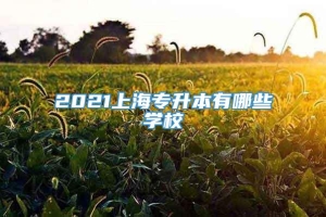 2021上海专升本有哪些学校