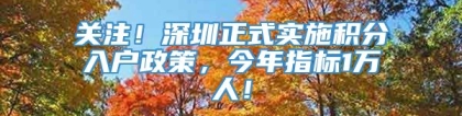 关注！深圳正式实施积分入户政策，今年指标1万人！