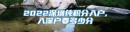 2022深圳纯积分入户,入深户要多少分