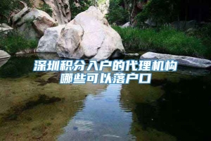 深圳积分入户的代理机构哪些可以落户口