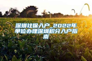 深圳社保入户_2022年单位办理深圳积分入户指南