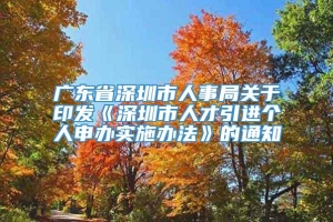 广东省深圳市人事局关于印发《深圳市人才引进个人申办实施办法》的通知