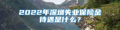 2022年深圳失业保险金待遇是什么？