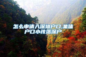 怎么申请入深圳户口,集体户口小孩落深户