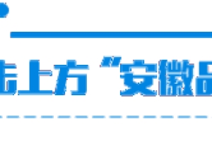 2019年安徽省级引进境外人才项目计划申报通知