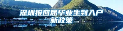 深圳报应届毕业生到入户新政策