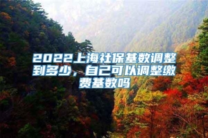 2022上海社保基数调整到多少，自己可以调整缴费基数吗