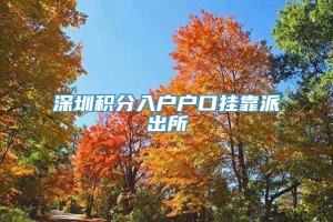 深圳积分入户户口挂靠派出所