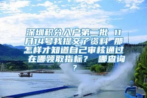 深圳积分入户第二批 11月14号我提交了资料 那怎样才知道自己审核通过 在哪领取指标？ 哪查询？