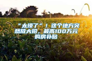 “太壕了”！这个地方突然放大招，最高100万元购房补贴