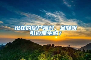 现在的深户福利，足够吸引应届生吗？