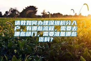 请教如何办理深圳积分入户，有哪些流程，需要去哪些部门，需要准备哪些资料？