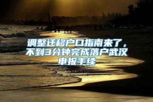 调整迁移户口指南来了，不到3分钟完成落户武汉申报手续