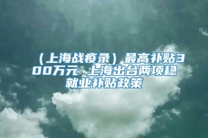 （上海战疫录）最高补贴300万元 上海出台两项稳就业补贴政策