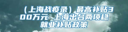 （上海战疫录）最高补贴300万元 上海出台两项稳就业补贴政策