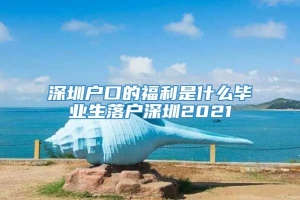 深圳户口的福利是什么毕业生落户深圳2021