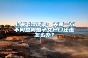 上海离婚律师：夫妻一方不同意离婚子女户口迁走怎么办？