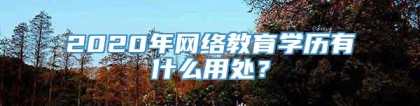 2020年网络教育学历有什么用处？