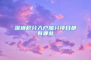 深圳积分入户加分项目都有哪些