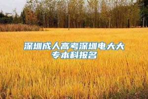 深圳成人高考深圳电大大专本科报名