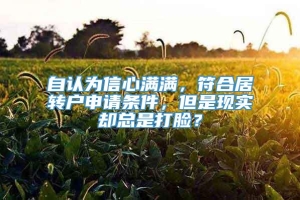 自认为信心满满，符合居转户申请条件，但是现实却总是打脸？