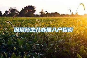 深圳新生儿办理入户指南