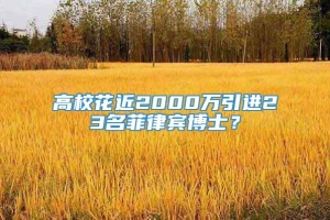 高校花近2000万引进23名菲律宾博士？