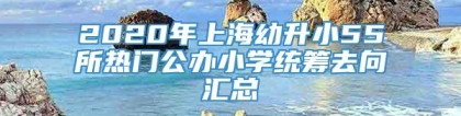 2020年上海幼升小55所热门公办小学统筹去向汇总