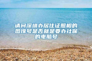 请问深圳办居住证照相的图像号是否就是要办社保的电脑号