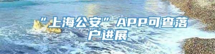 “上海公安”APP可查落户进展