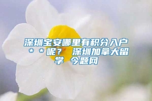 深圳宝安哪里有积分入户＊＊呢？ 深圳加拿大留学 今题网