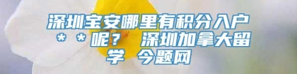 深圳宝安哪里有积分入户＊＊呢？ 深圳加拿大留学 今题网