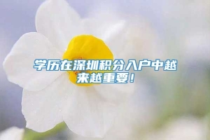 学历在深圳积分入户中越来越重要！