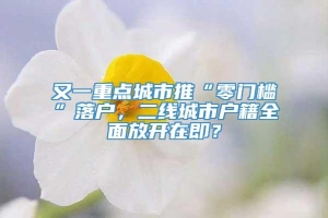 又一重点城市推“零门槛”落户，二线城市户籍全面放开在即？