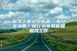 留学人数又创新高、海归变海带？投行小布教你回国找工作