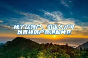 除了居转户，引进人才可以直接落户临港新片区