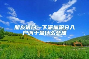 朋友请问一下深圳积分入户调干是什么意思