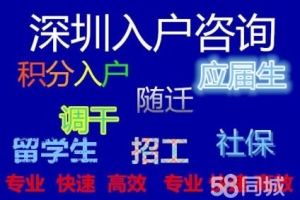 2022年深圳市人才引进中心是什么机构