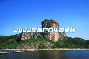 2022深圳户口生育保险