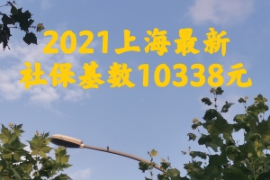 2021年7月上海最新社保基数10338