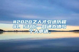 #2020之人才引进历程#1. 5月份一网通办填写个人申请，