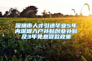 深圳市人才引进毕业5年内深圳入户补贴创业补贴及3年免息贷款政策