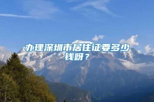 办理深圳市居住证要多少钱呀？